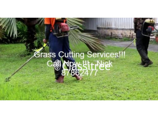 Grass cutting services Convenient Call Nick
