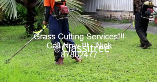 grass-cutting-services-convenient-call-nick-big-0