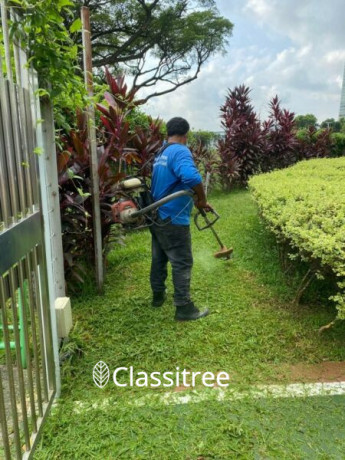affordable-garden-maintenance-work-big-0