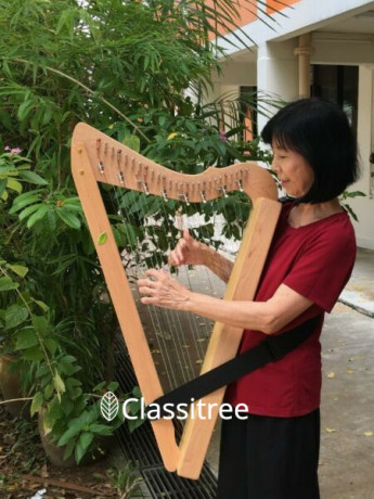 creative-therapeutic-harp-classes-big-0