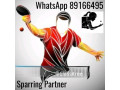 Table Tennis Sparring Partner WhatsApp for prompt response 