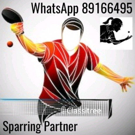 table-tennis-sparring-partner-whatsapp-for-prompt-response-big-0