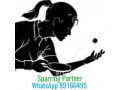Table Tennis Coaching Sparring Partner WhatsApp to book a session