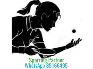 Table Tennis Coaching Sparring Partner WhatsApp to book a se
