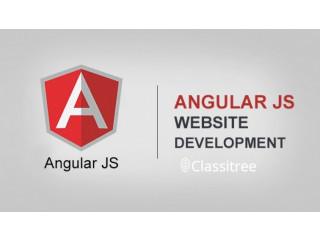 AngularJS Web Development company