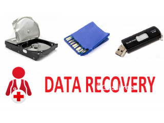 Assessment Data Recovery