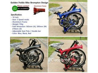 Trifold Bromption Design Aluminium Bike