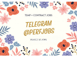 TELEGRAM CHANNEL PERFJOBS MANY TEMP JOBS PERFECT SG JOBS FOR