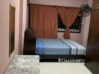 Two common room available for rent Choa Chu Kang Avenue 